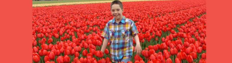 2014/26_40_26_30_holanda_l.jpg